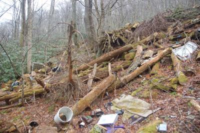 Multiple Dead Coyotes Found Dumped Along Us 221 News