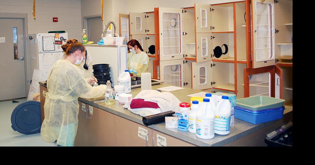 Humane Society begins cleaning, recovering News