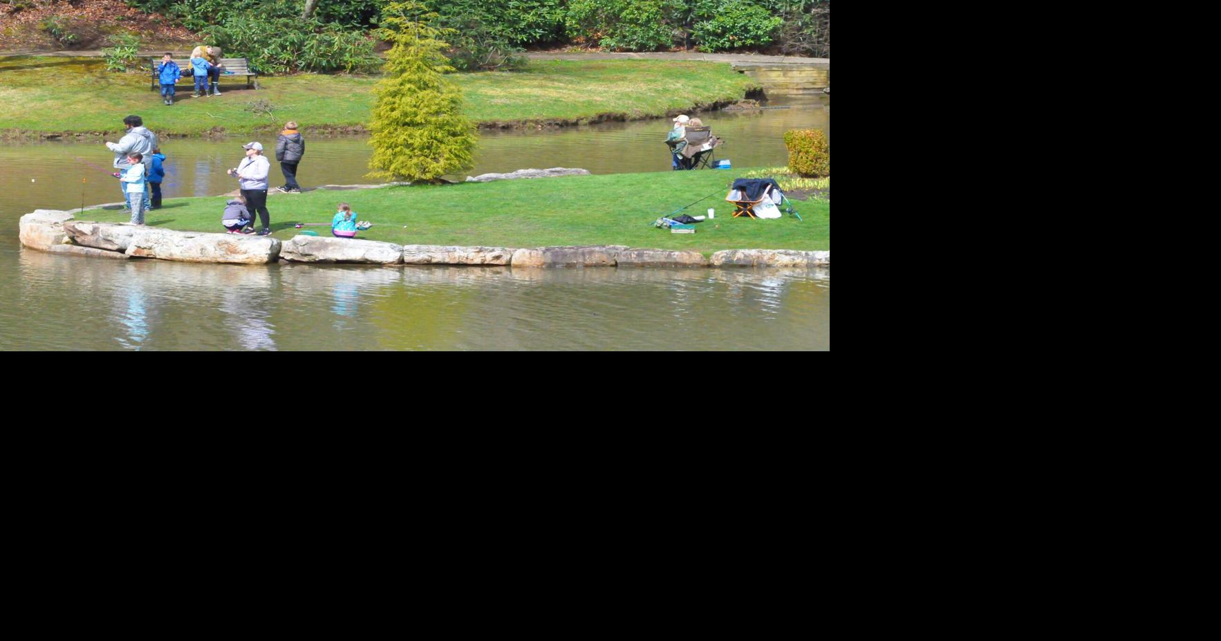 Fish for free in North Carolina’s public waters on July 4 Mountain