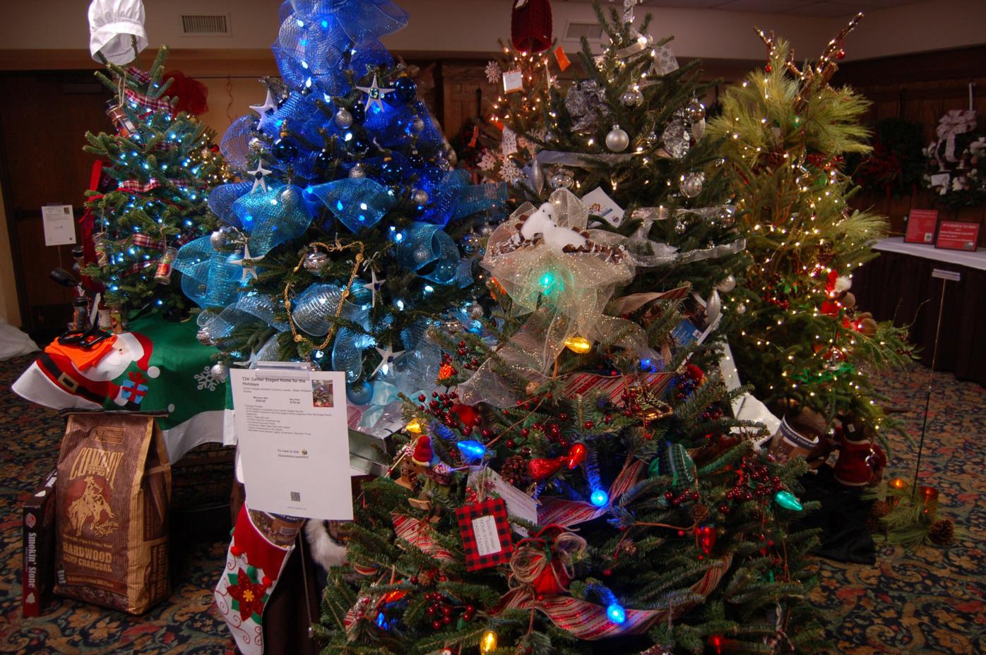 Christmas Trees 2022 Watauga Democrat Western Youth Network's Festival Of Trees Returns For Third Year | Blowing  Rocket | Wataugademocrat.com