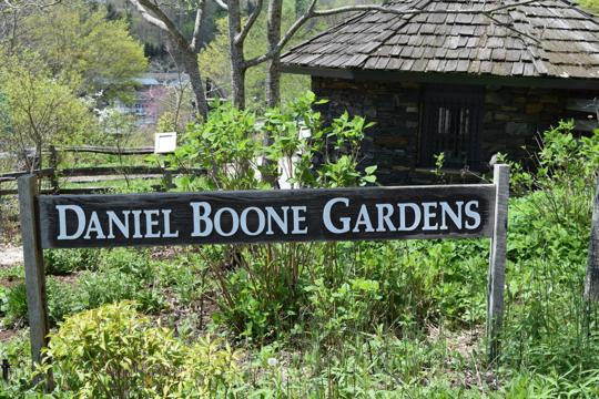 Daniel Boone Native Gardens gears up for 2020 season: Annual Early Bird