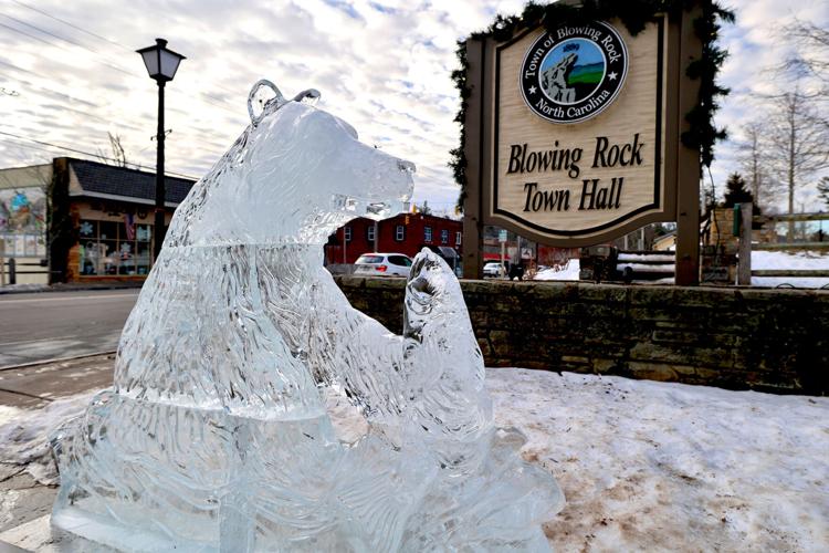 bear ice sculpture