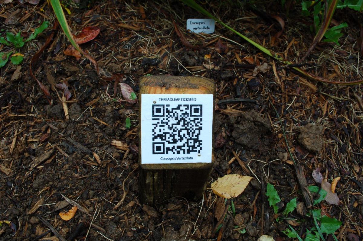 Qr Codes Sprout At Daniel Boone Native Gardens Mountain Times