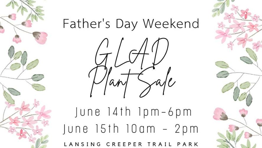 Lansing hosting Creeper Trail Park Music and Mountain Crafts Festival