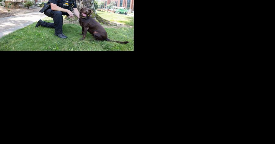 Meet Officer Greene and Officer Mitzi: The second K-9 team to join App State Police - Vimarsana News