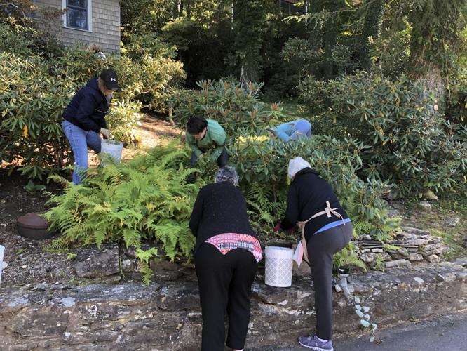 Blowing Rock Garden Club plants a seed of kindness for fellow member