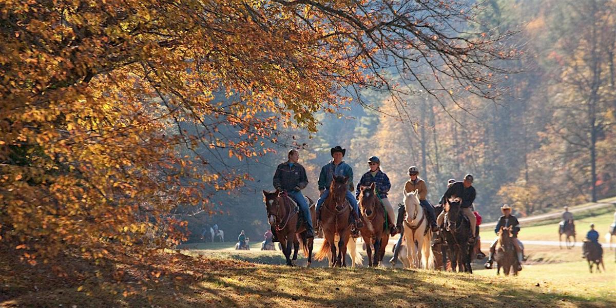 Horseback Riding In The High Country Hcnc Wataugademocrat Com