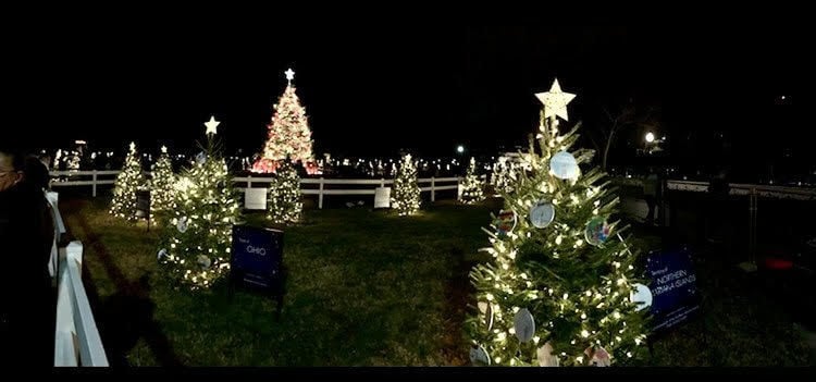 Christmas Trees 2022 Ashe Mountain Times O Christmas Tree: Smith Sends Fraser Firs For National Tree Lighting  Ceremony | Mountain Times | Wataugademocrat.com