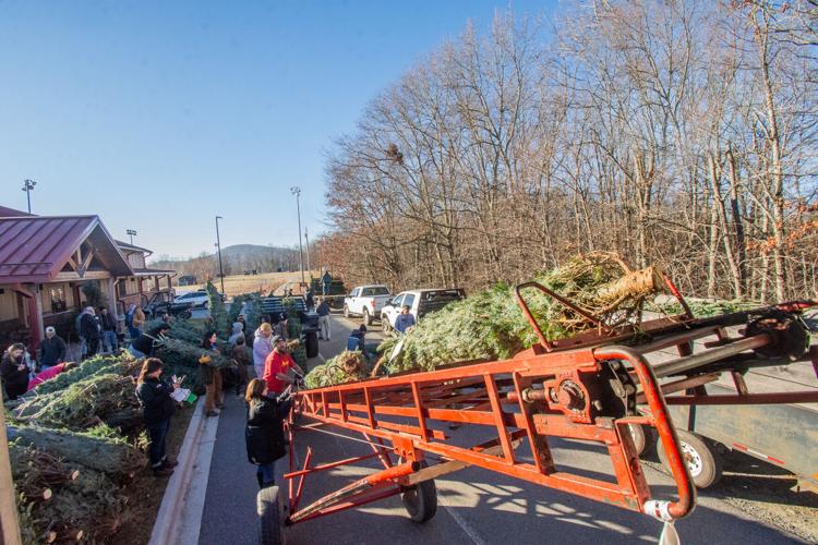 Local Christmas tree growers donate to Trees for Troops