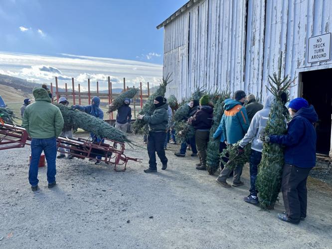 Local Christmas tree growers donate to Trees for Troops | Local News ...
