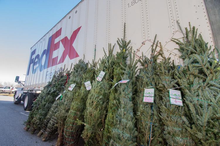 Local Christmas tree growers donate to Trees for Troops