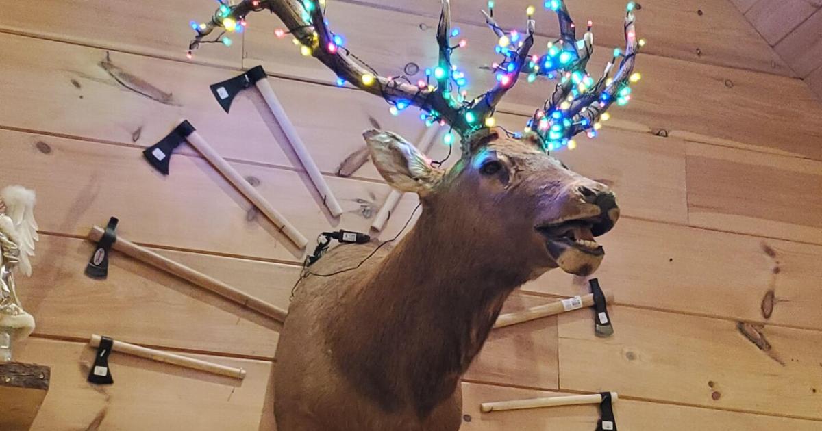 Bow hunting deer season has started; black powder season begins in