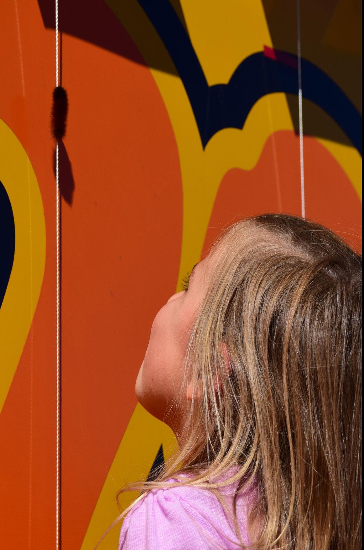 Woolly Worm Festival returns to Banner Elk Oct. 1516 Blowing Rocket