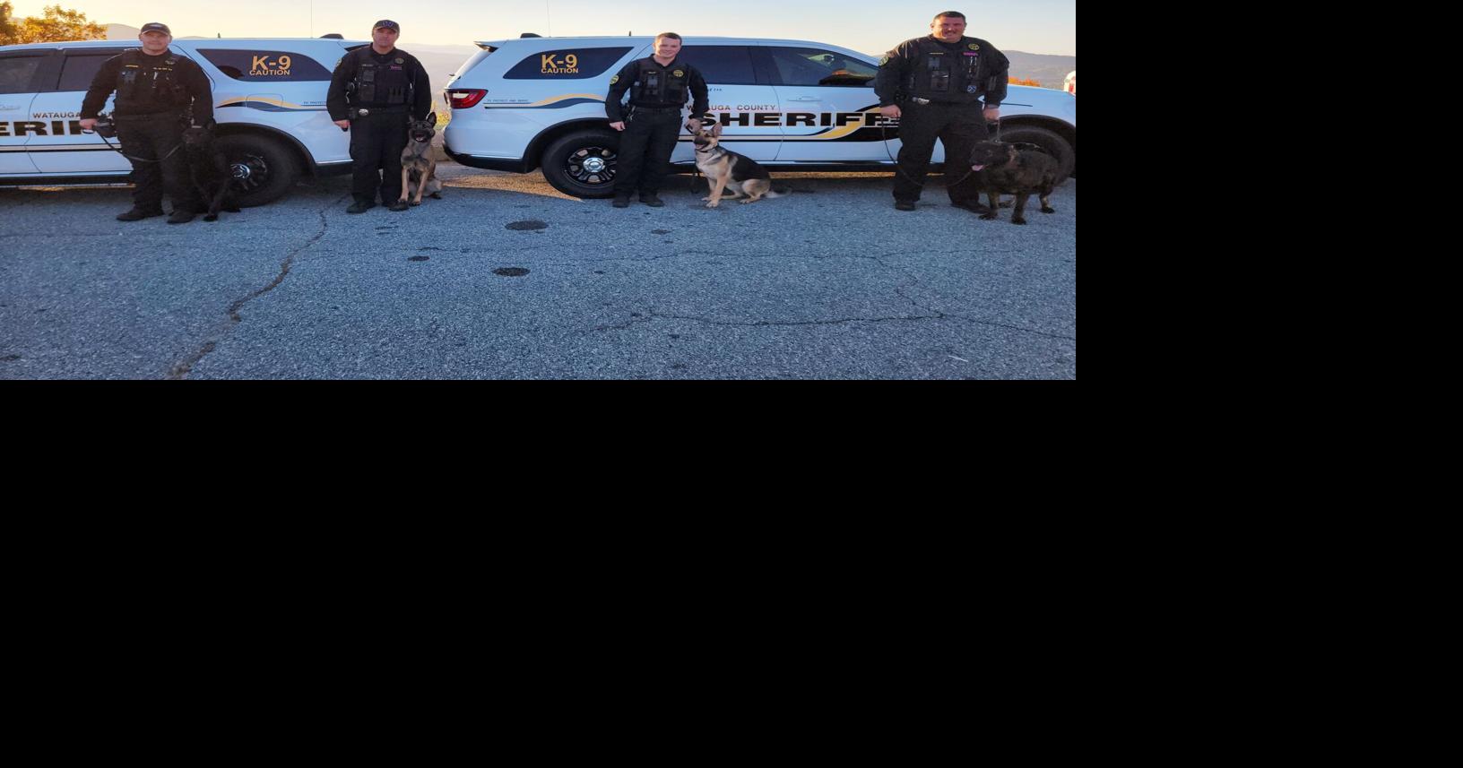 No need for K-9s': New Mexico sheriff's department announces