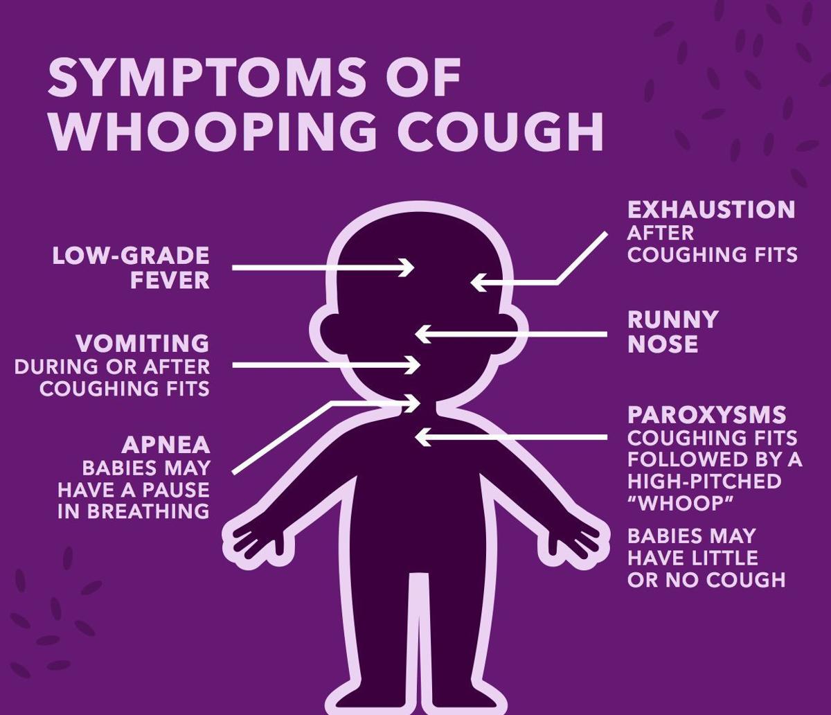 Cough whooping symptoms wataugademocrat graphic shows