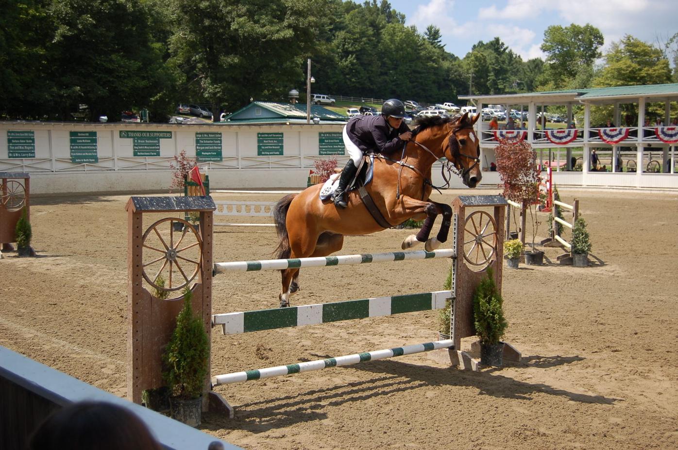 2014 Blowing Rock Charity Horse Show Blowing Rocket