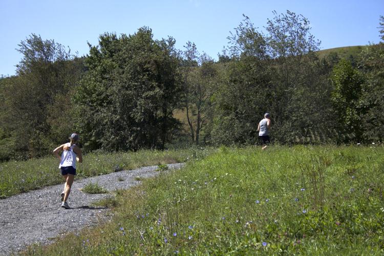 Runners make 208 mile trek through from Grayson Highlands to Asheville ...