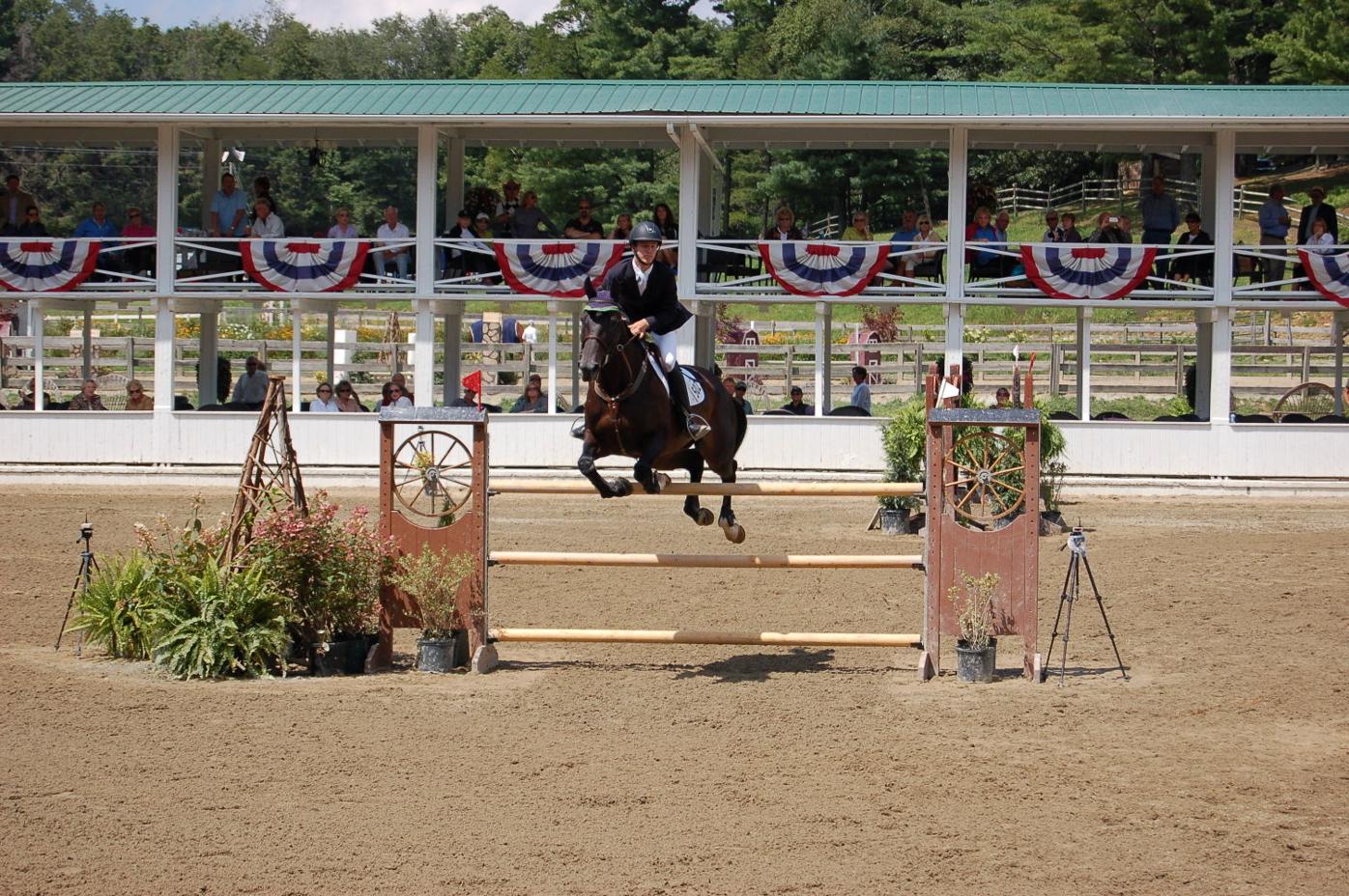 2014 Blowing Rock Charity Horse Show Blowing Rocket