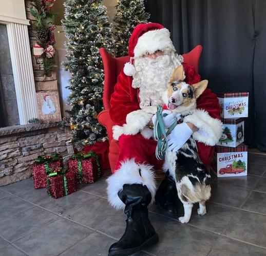 West Jefferson Christmas Parade includes more than 50 entries