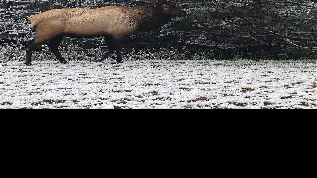 Blue Ridge Parkway A Hidden Winter Gem Wataugademocrat Com