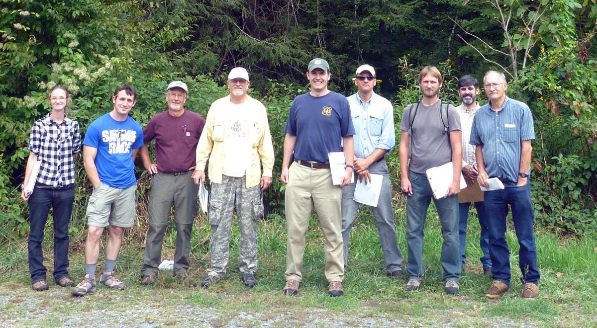 Hope Still Alive For Hemlocks News Wataugademocrat Com