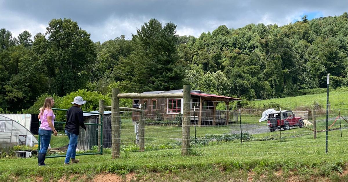 Frontline to Farm training to help veterans learn more about agriculture - Watauga Democrat