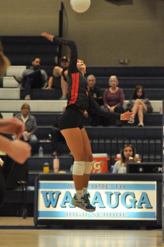 Tilly Hutton Parkway repeats as volleyball champs after tough battle with Hardin ...