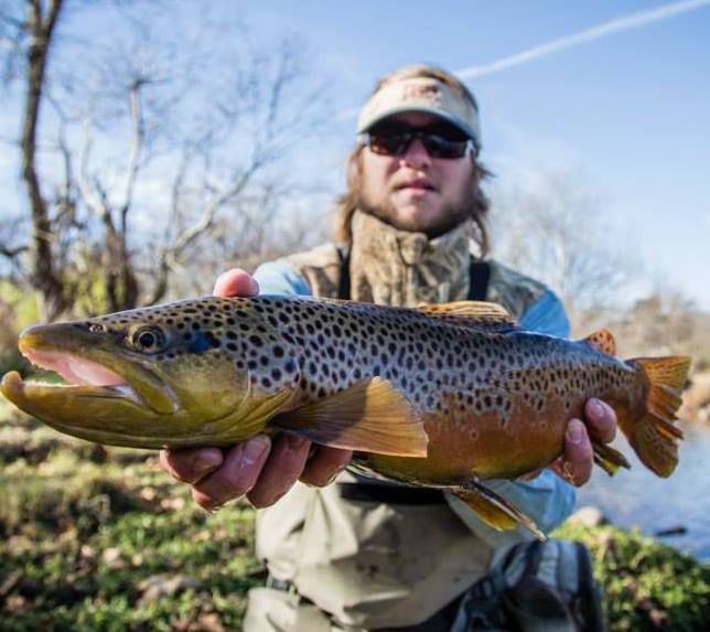 In Brief Running Fly Fishing Shops Open Yosef Club Encourages Year End Donations Main Street Wataugademocrat Com