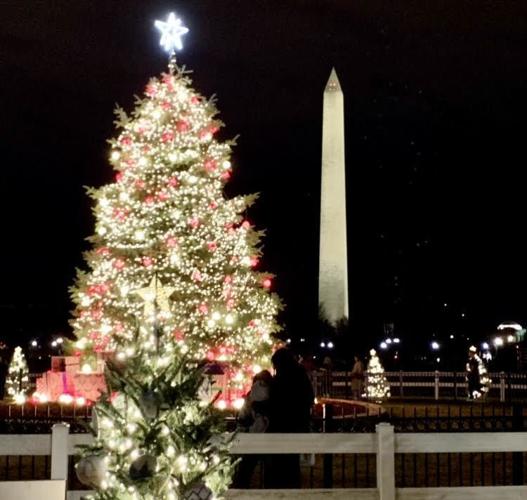 O Christmas tree Smith sends Fraser Firs for National Tree Lighting