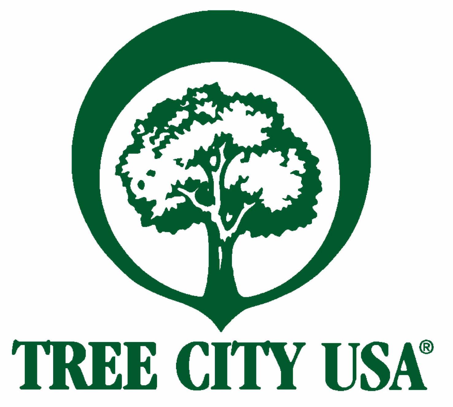 Arbor Day Foundation names Seven Devils a ‘Tree City USA’  Community
