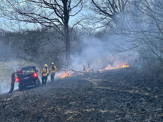 Wind-driven brush fire burns 2 acres in Zionville | Local News ...