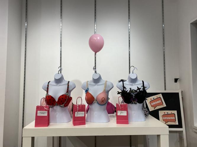Handmade in the Bay is holding their 'decorate a bra competition' ahead of  Breast Cancer Week this October. A light-hearted way to supp
