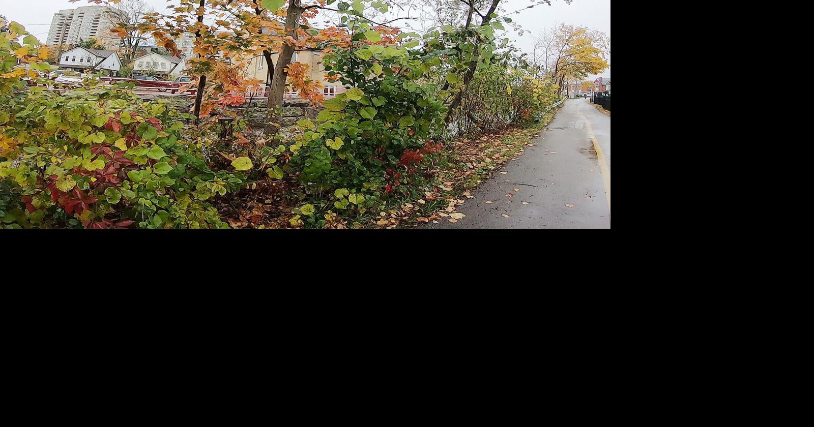 Appreciating the underrated beauty of Waterloo