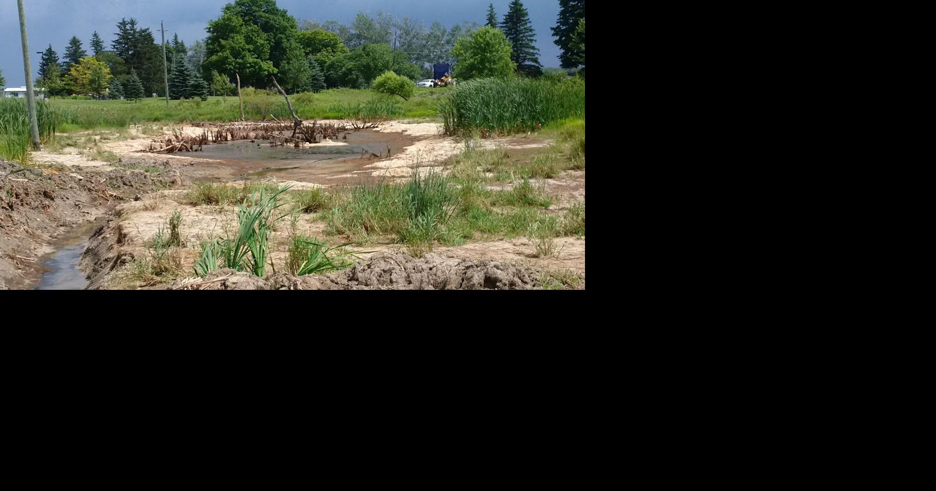 Draining of wetland raises question of role of Grand River Conservation