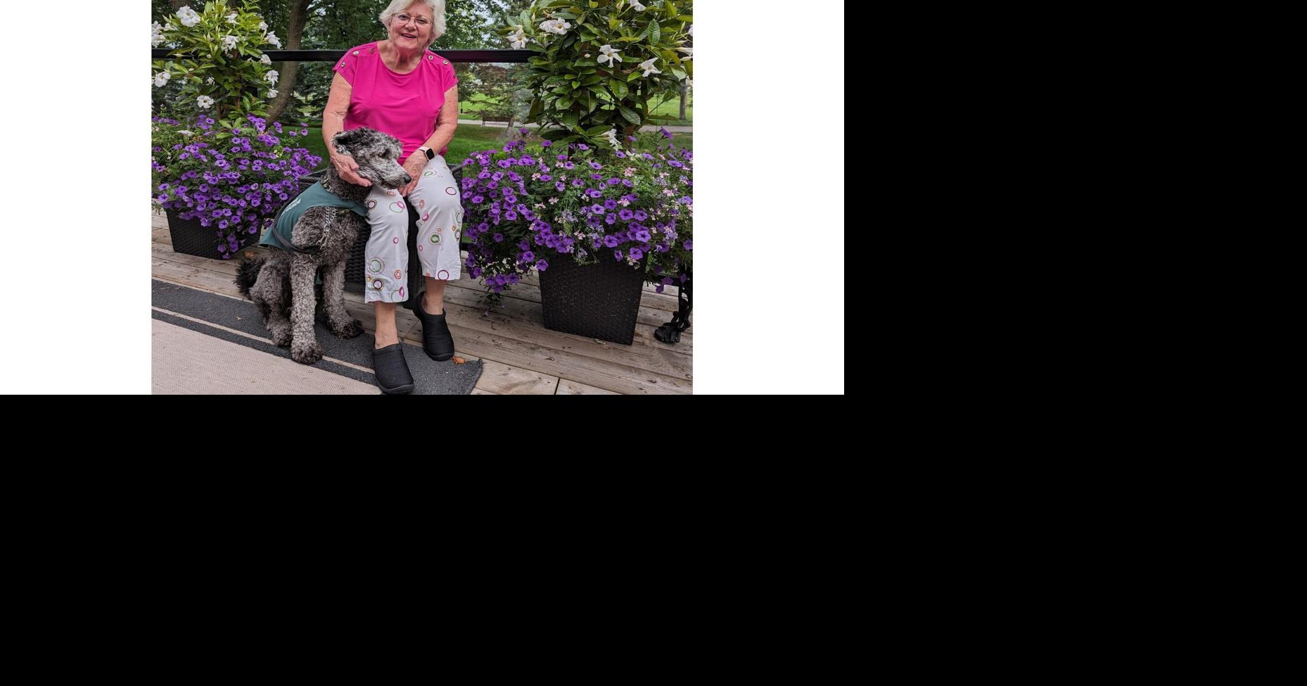 Day school for guide dogs in need of volunteer sitters in Waterloo Region, Guelph