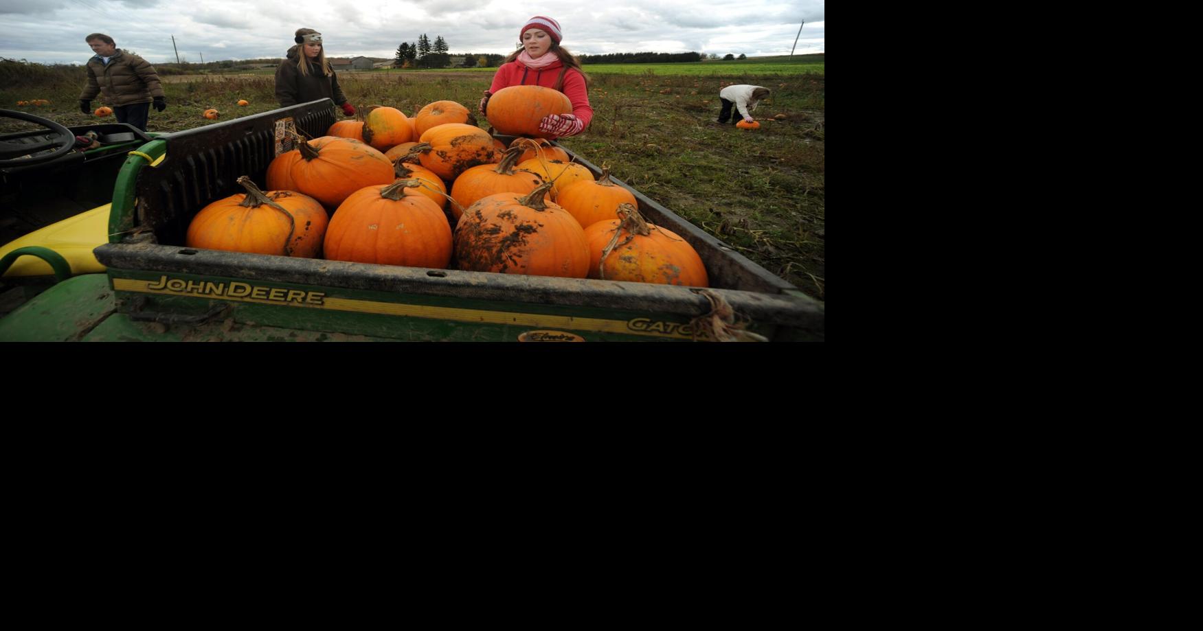 Explore Waterloo Region’s list of fall festivities