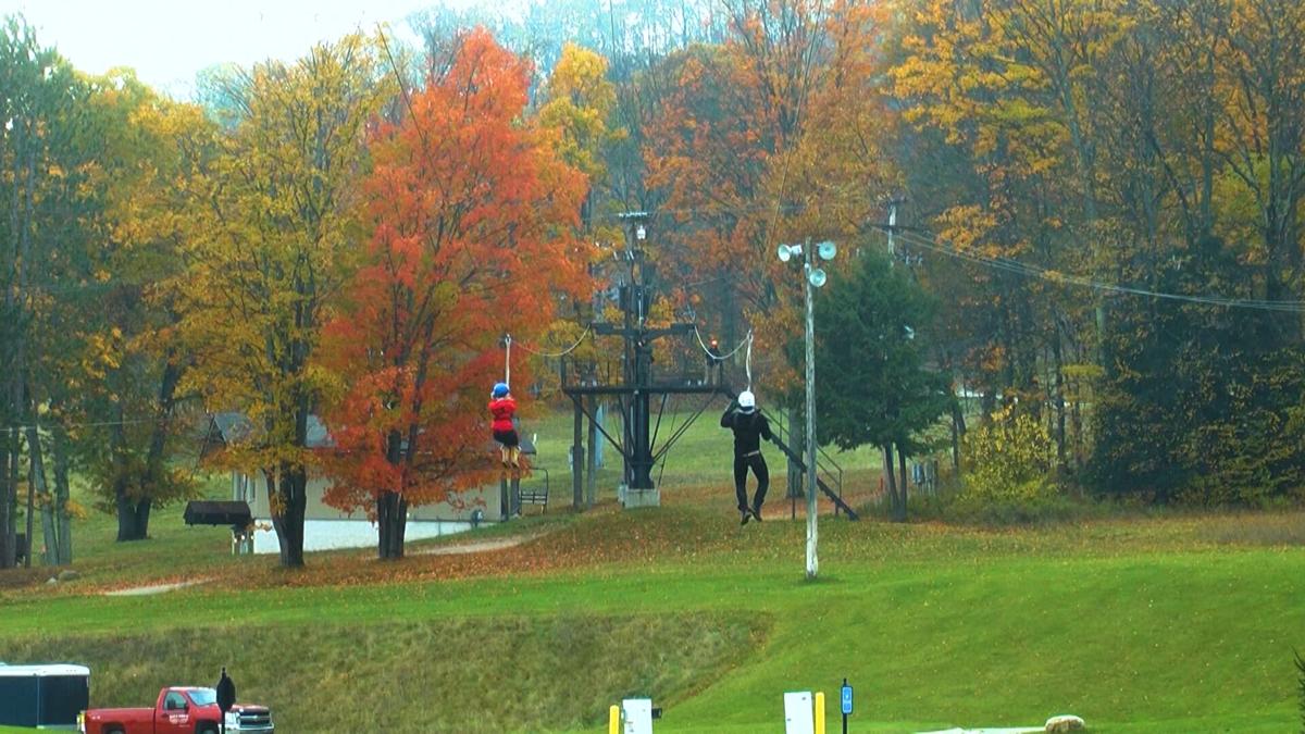 Field Trip Friday Goes On Their Biggest Adventure Yet! Features