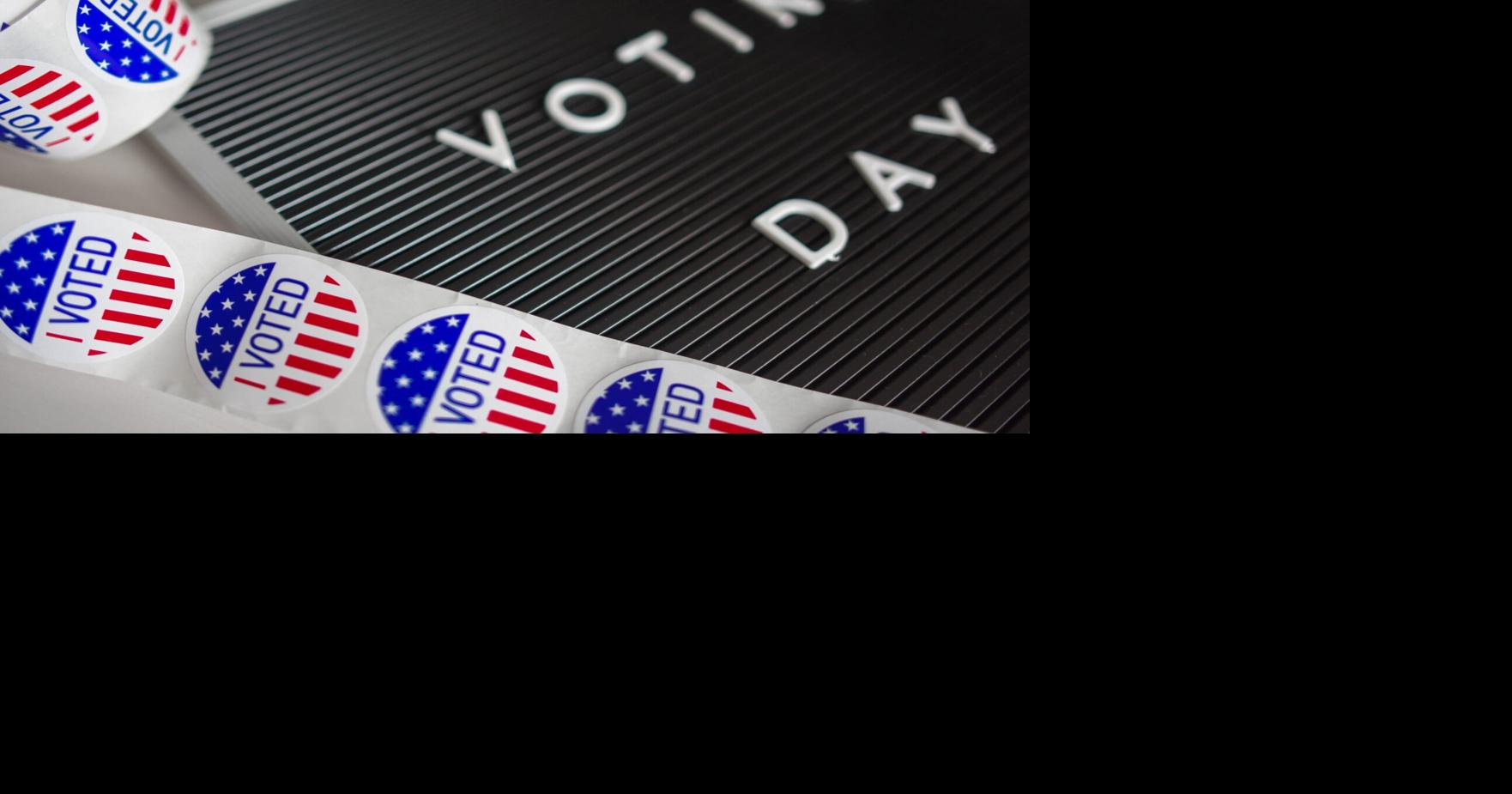 Michigan launches online application for absentee ballots News