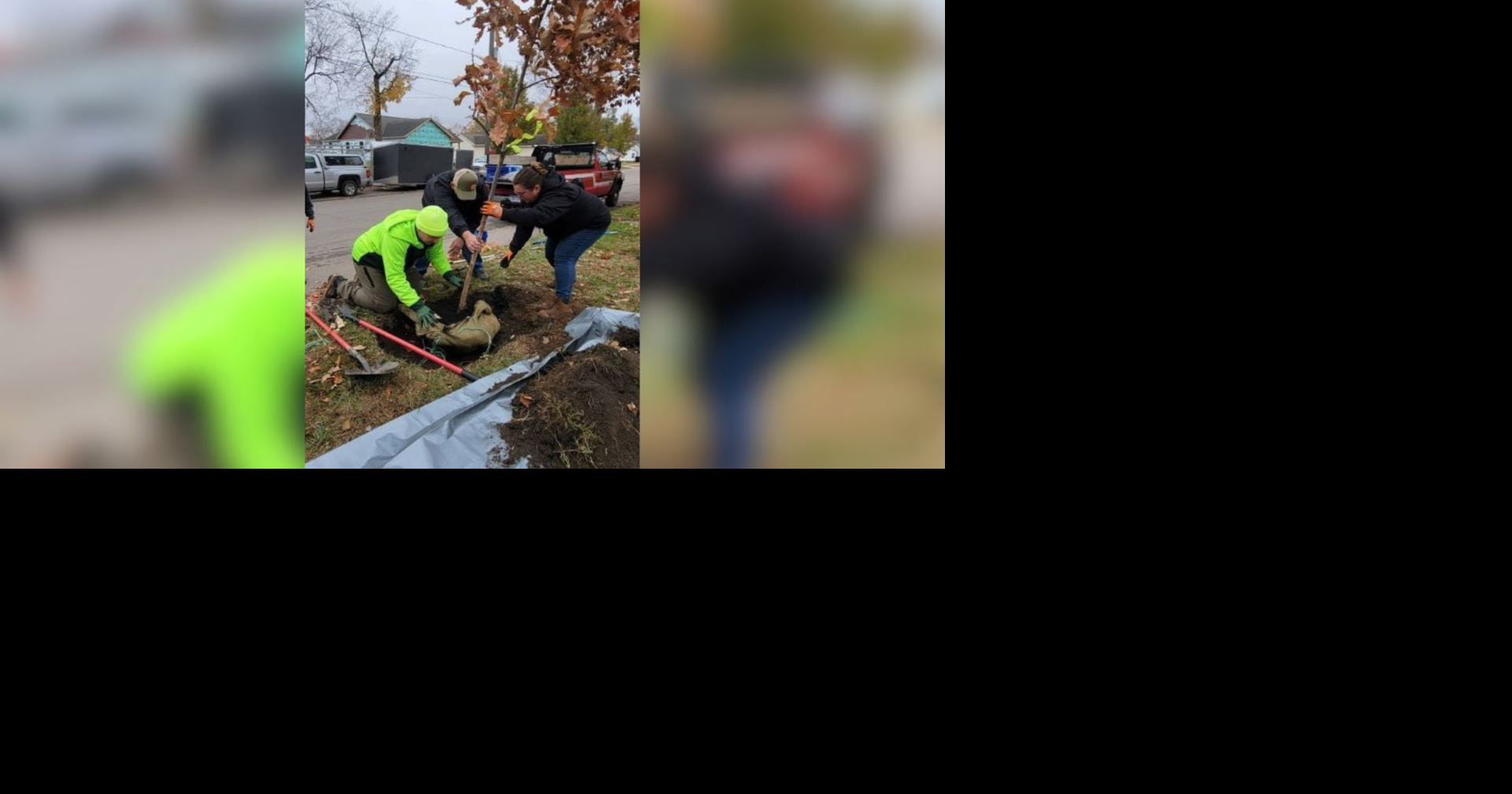 Michigan offers $500,000 in grants for community tree projects