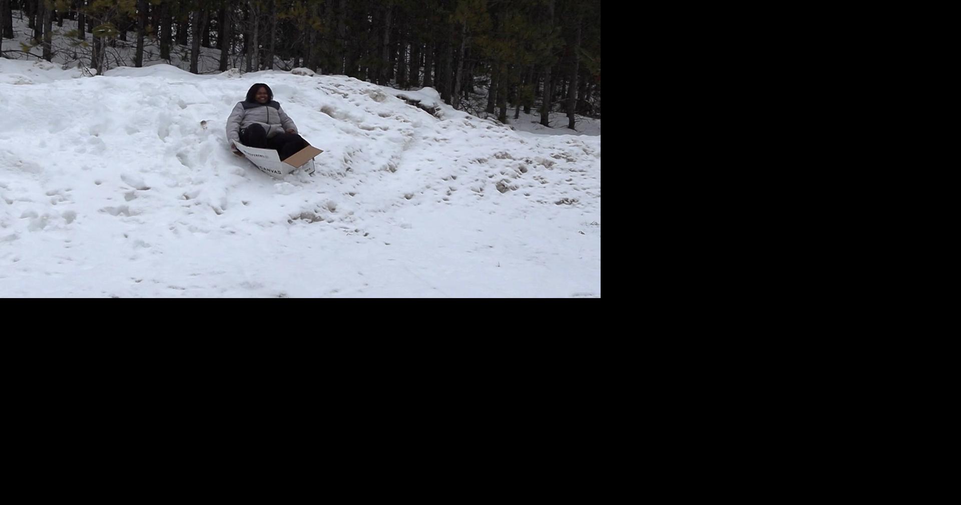 Alpena County 4-H Council Organizes 3rd Annual Box Sled Race ...