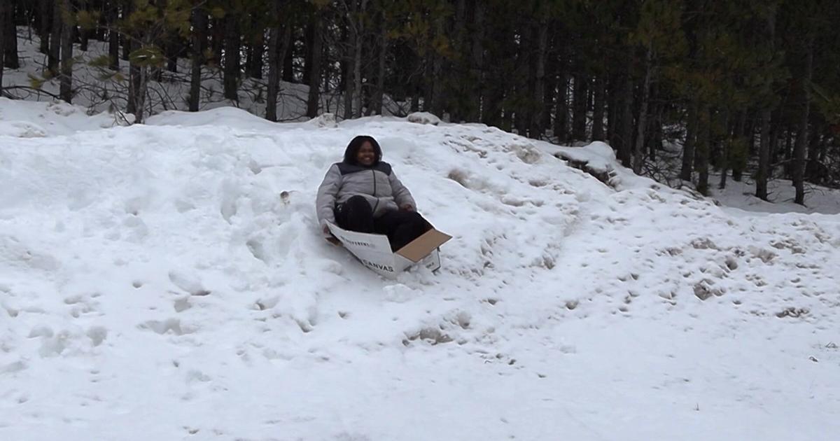Box Sled Races Alpena County 4-H Council Organizes 3rd Annual Box Sled Race ...