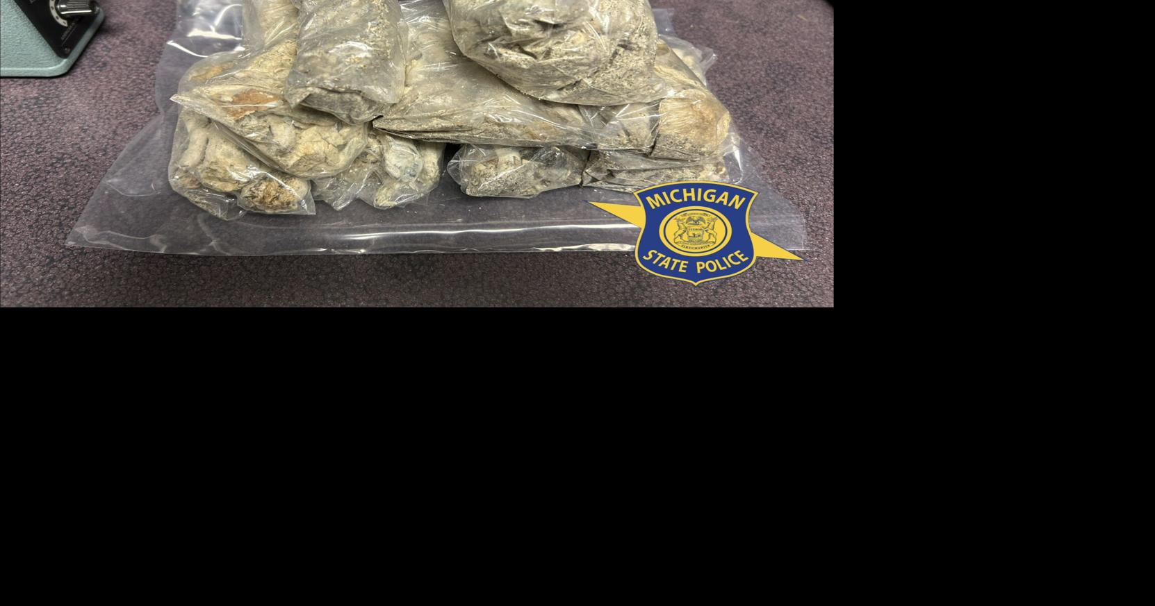 Roscommon man arrested after traffic stop yields drugs hidden in dog food