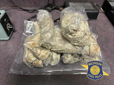 Roscommon man arrested after traffic stop yields drugs hidden in dog ...