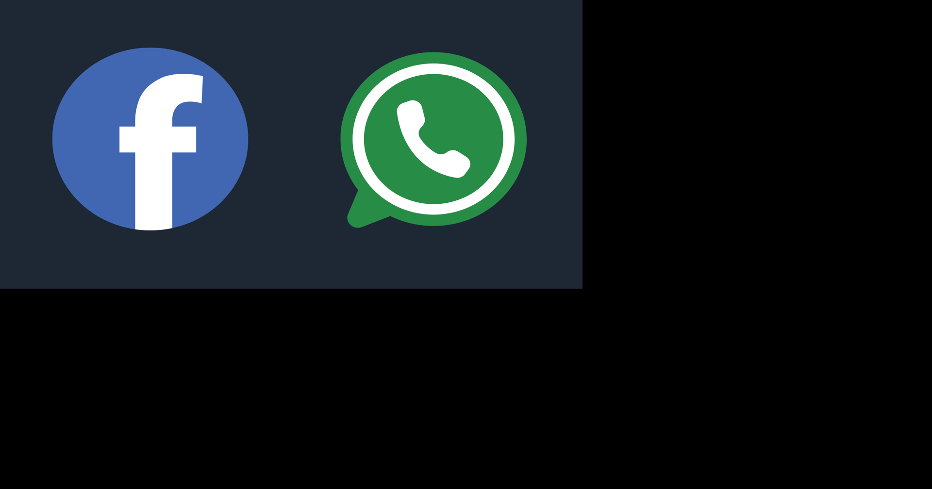 Ag Nesselは、FacebookとWhatsAppでの投資詐欺に対処するようメタを促します|ニュース