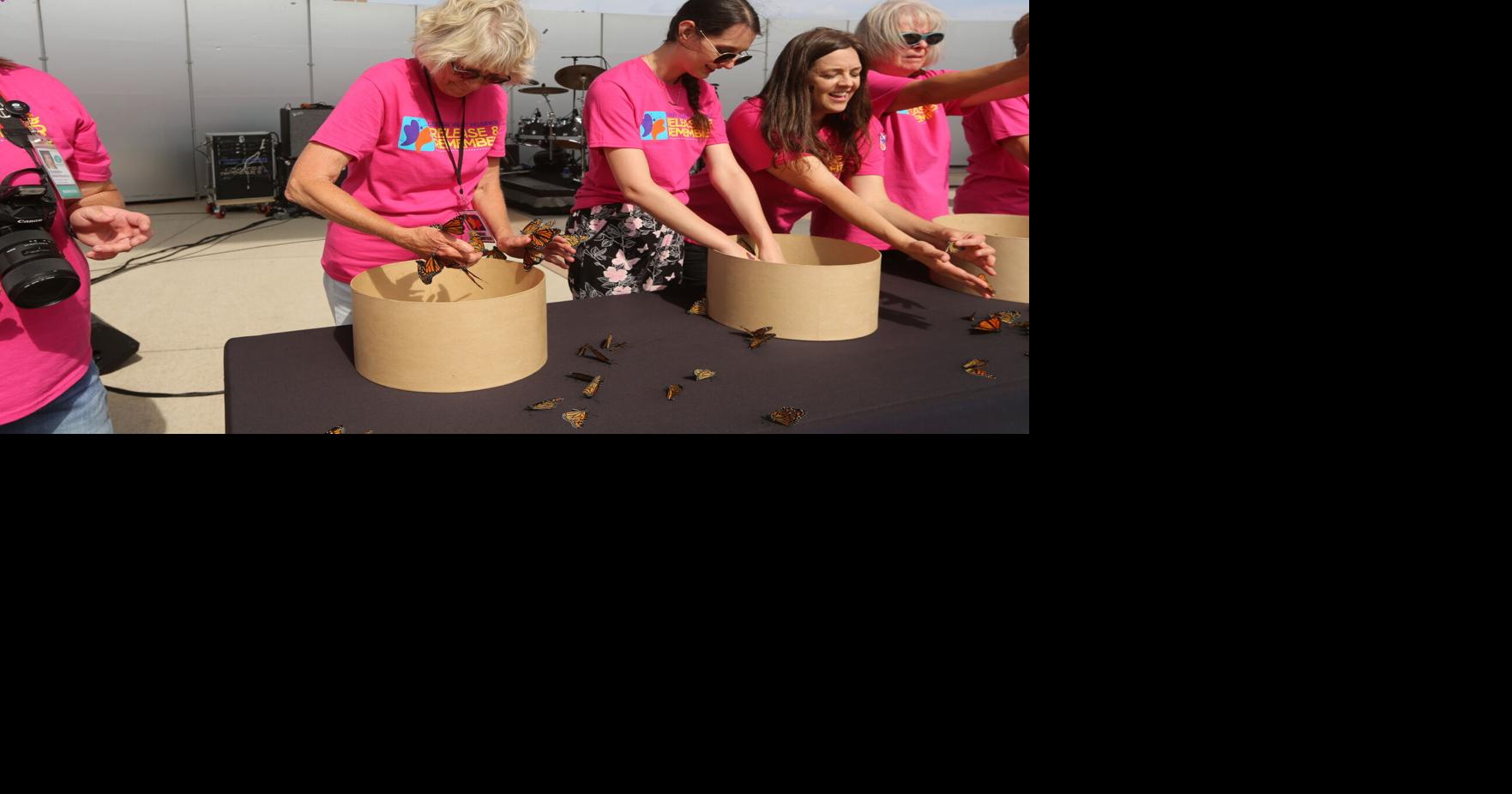 Butterfly release fundraiser for Cedar Valley Hospice on Sunday
