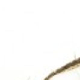 Flavor Forecast Top 10 Pairings May Define Palates In 2010 Food And Cooking Wcfcourier Com Coconut and rice go together like snow and white. flavor forecast top 10 pairings may