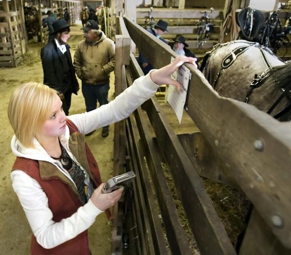 Families bond at Waverly Horse Sale