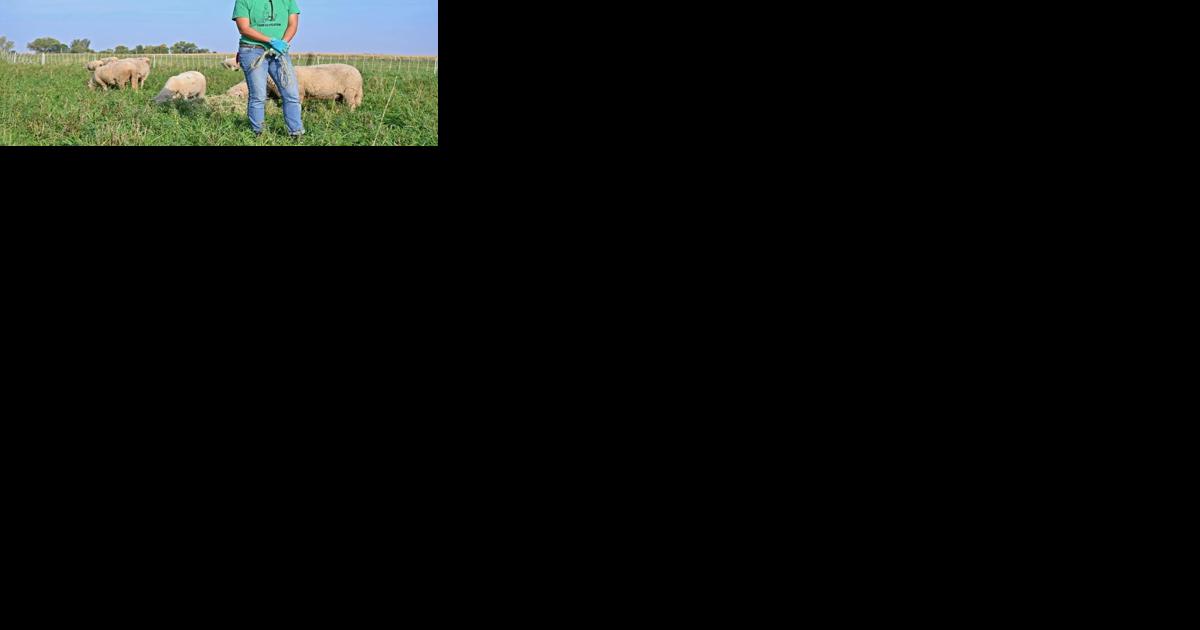 Beyond corn, soybeans, farmers have plenty of options - Vimarsana News