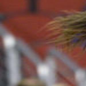 Girls State Basketball No 2 Waukee Defeats Cedar Falls 61 47