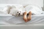 Sleep myths that may be keeping you from a good night's rest